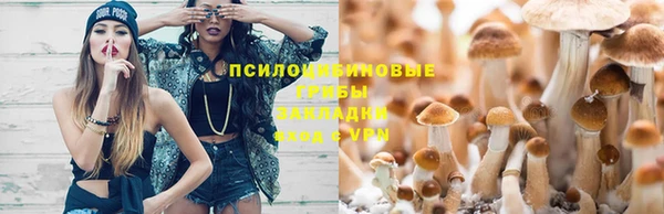 винт Алзамай