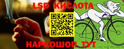 стаф Обнинск