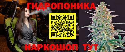 стаф Обнинск