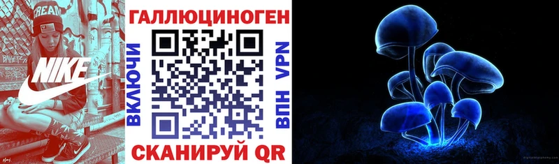 что такое Топки mega ссылки Галлюциногенные грибы Psilocybine cubensis