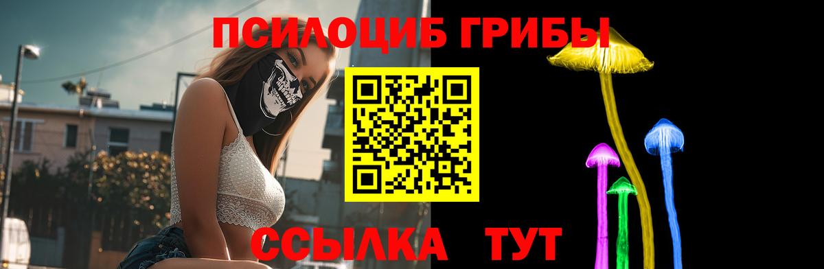 Псилоцибиновые грибы Psilocybine cubensis Топки